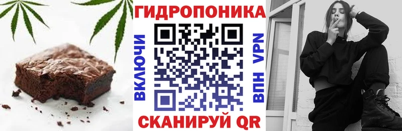Canna-Cookies марихуана  купить наркотики цена  Новозыбков 