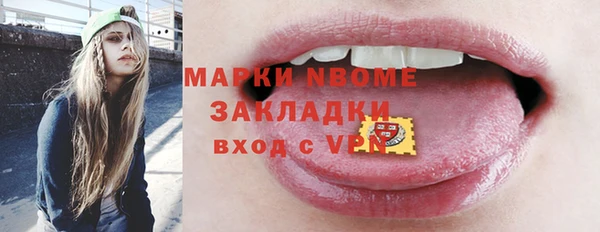 шишки Алзамай