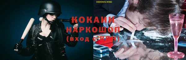 ПСИЛОЦИБИНОВЫЕ ГРИБЫ Алексин