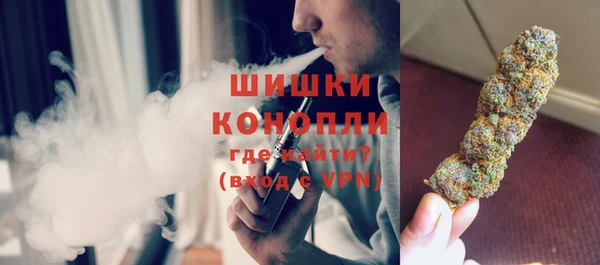 шишки Алзамай