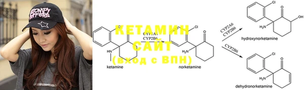 шишки Алзамай