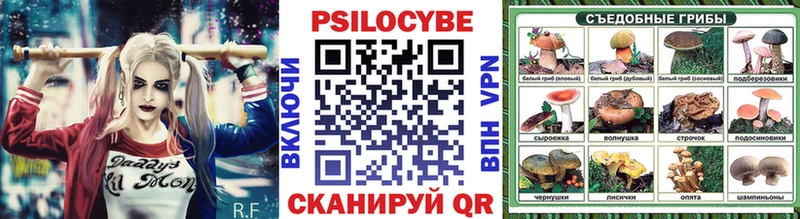 Галлюциногенные грибы Cubensis как найти закладки Новозыбков